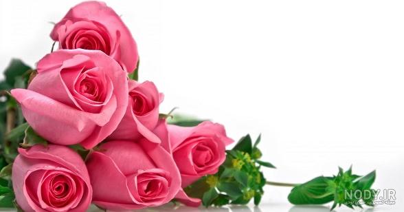 ژینا کلانتری اینستا
