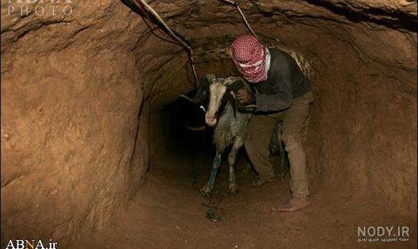 کدام گزینه کنایه نیست آب در هاون کوبیدن به تنگ آمدن دست را با آب شستن دست روی دست گذاشتن