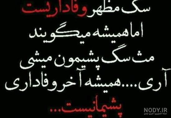 عکس با معنی قشنگ عکس با معنی قشنگ