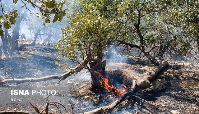 آتش سوزی جنگل ایران