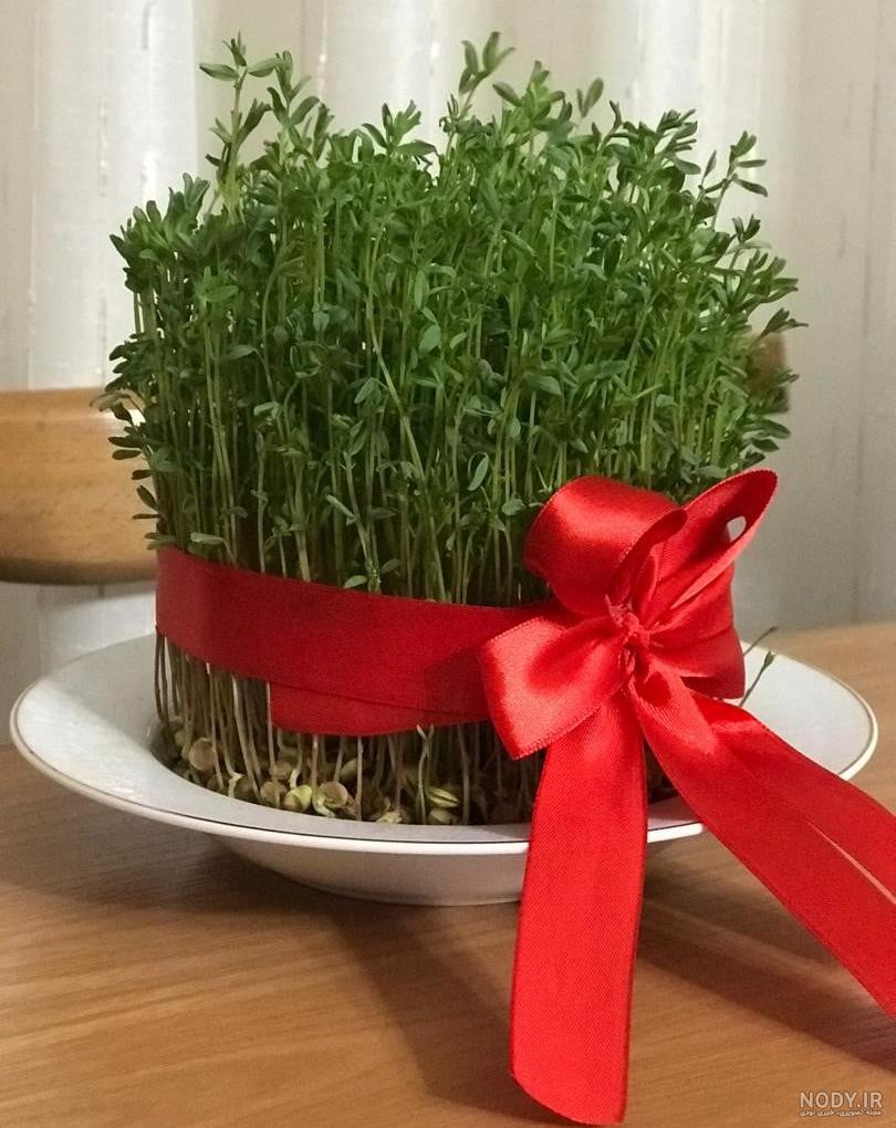 آموزش چند مدل سبزه عید