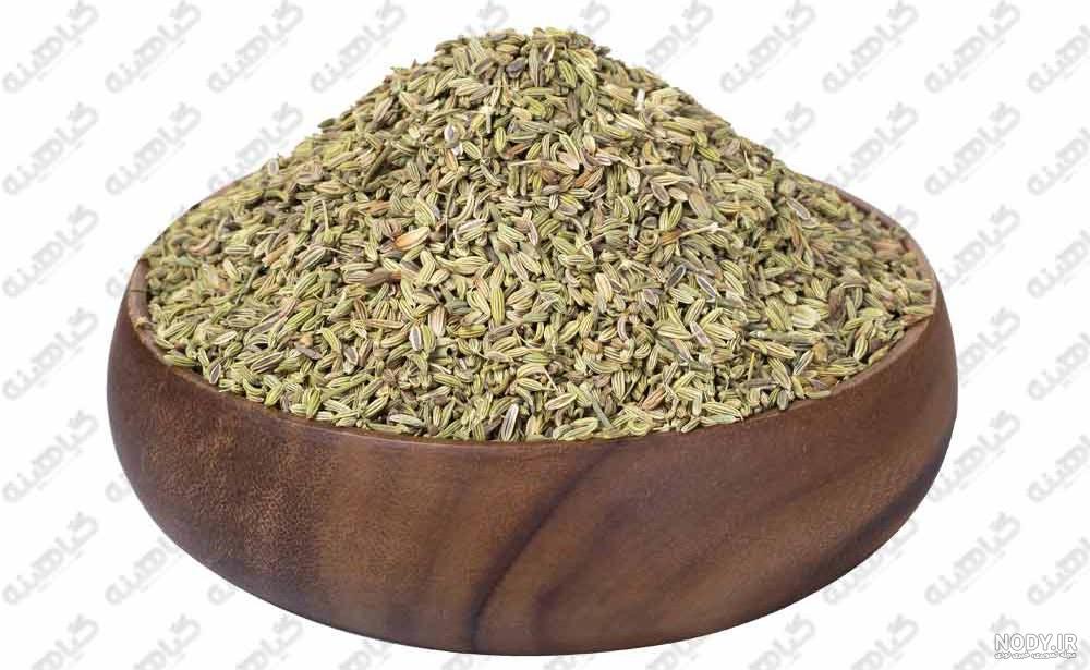 خواص رازیانه برای تخمدان خواص رازیانه برای تخمدان