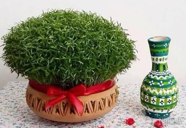 سبزه عید با گندم