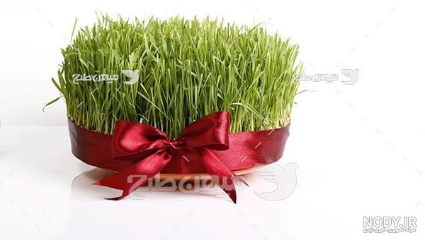 سفره هفت سین مدرن سفره هفت سین مدرن