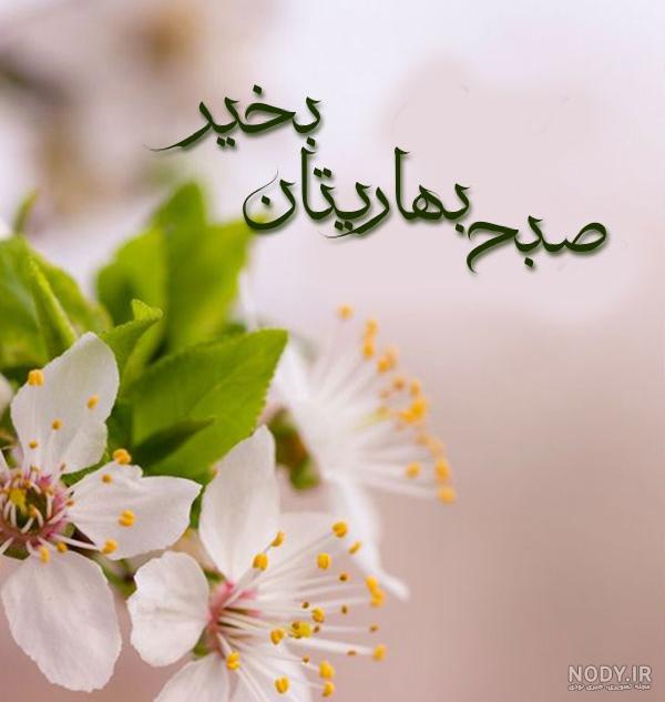 صبح بهاری شعر