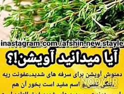 طبع آویشن باریک کوهی طبع آویشن باریک کوهی