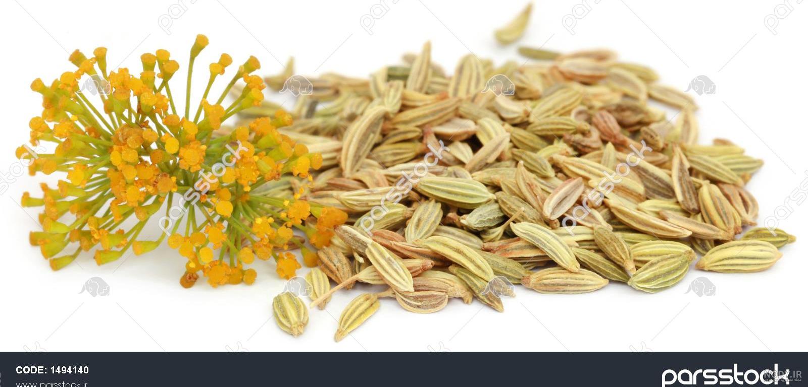 عرق رازیانه برای پریود شدن عرق رازیانه برای پریود شدن