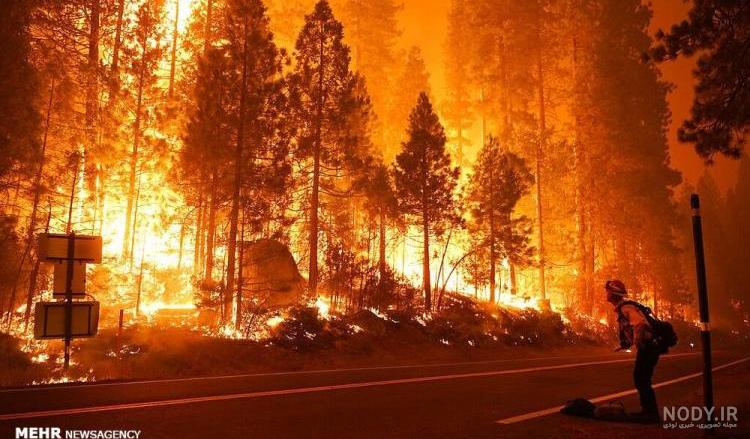 عکس آتش زدن جنگل