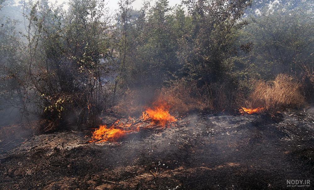 عکس آتش سوزی جنگل