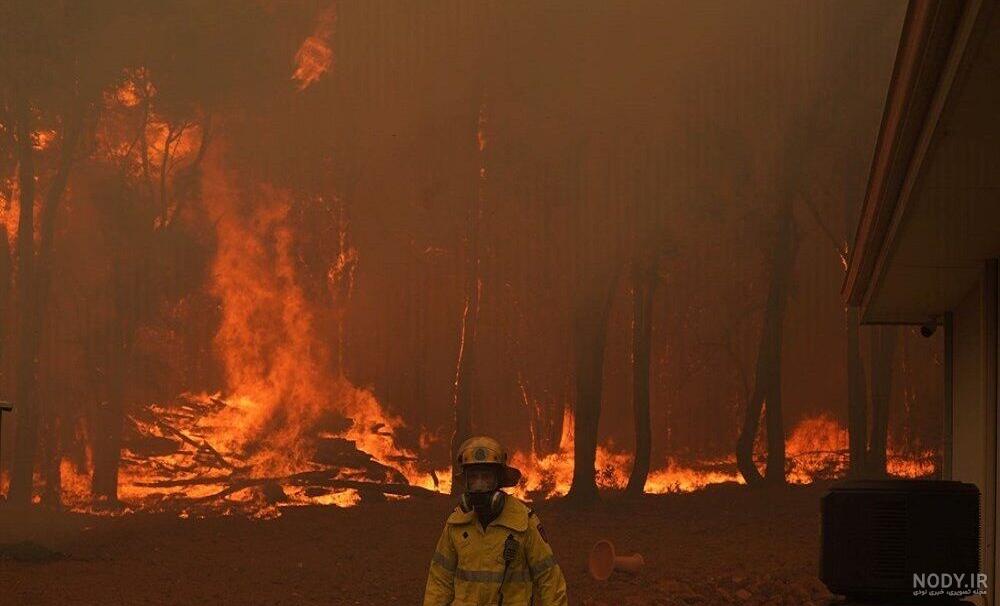 عکس آتش سوزی جنگل