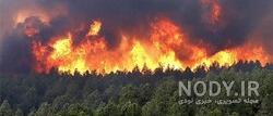عکس آتش سوزی جنگل استرالیا
