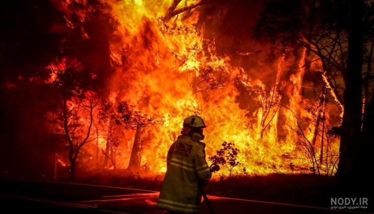 عکس آتش سوزی جنگل های استرالیا