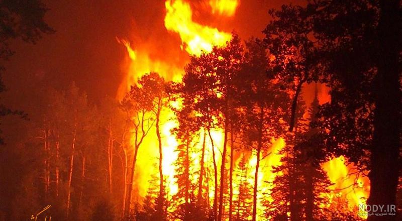عکس آتش گرفتن جنگل