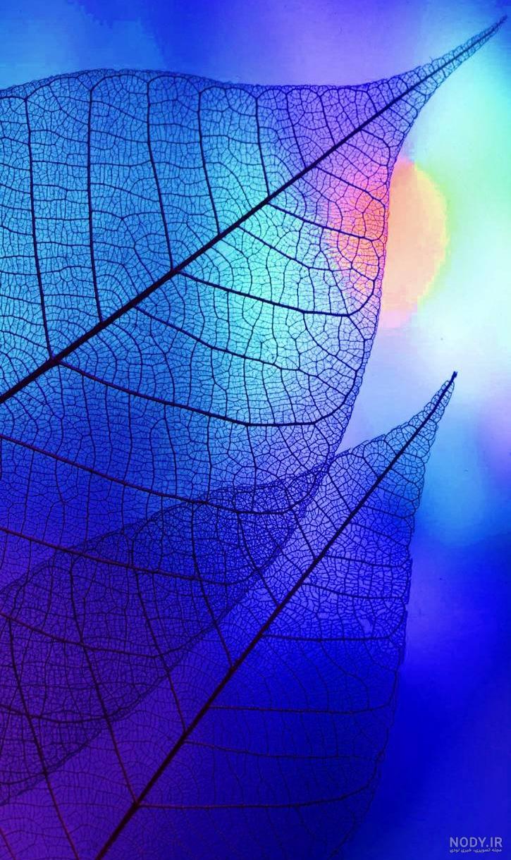 عکس تصویر زمینه آبی