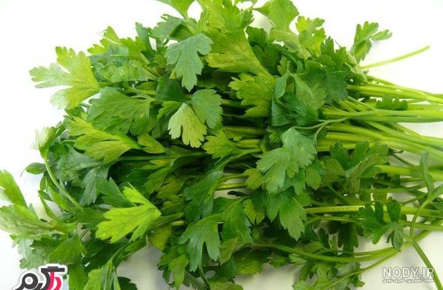 عکس جعفری و گشنیز