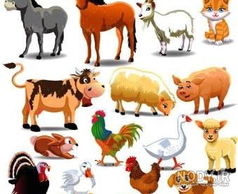 عکس حیوانات اهلی برای کودکان