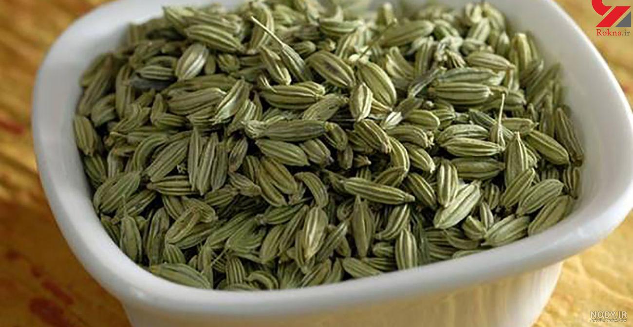 عکس رازیانه عکس رازیانه