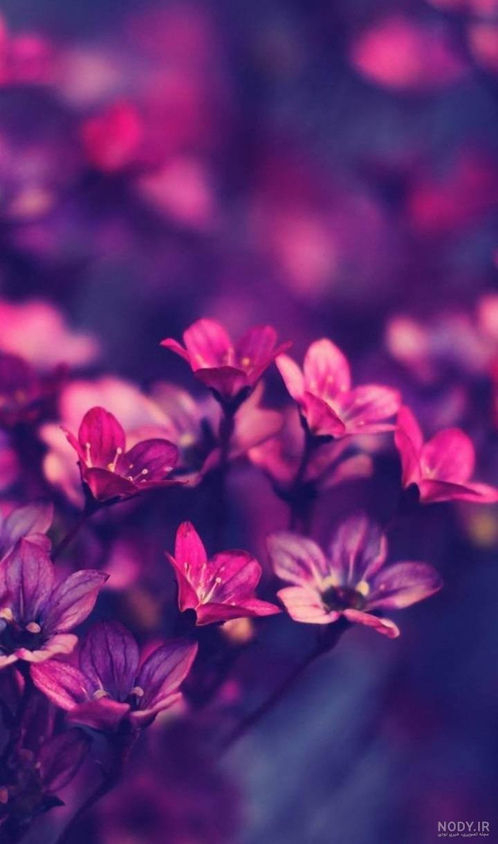 عکس زیبا صفحه زمینه