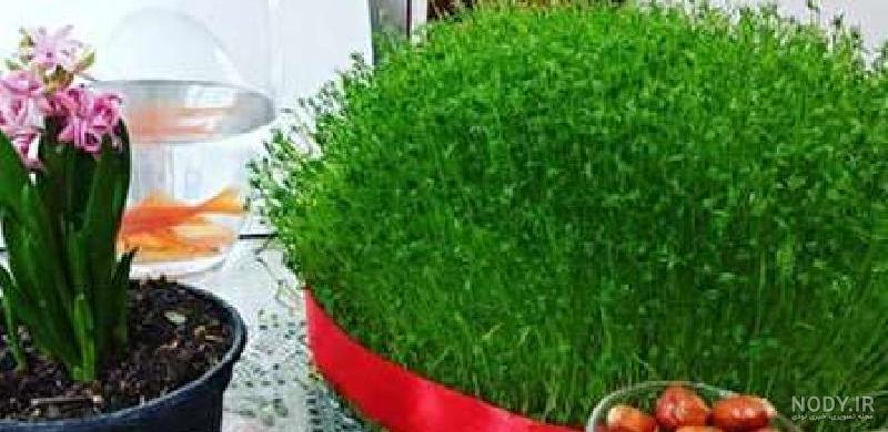 عکس سفره هفت سین جدید عکس سفره هفت سین جدید