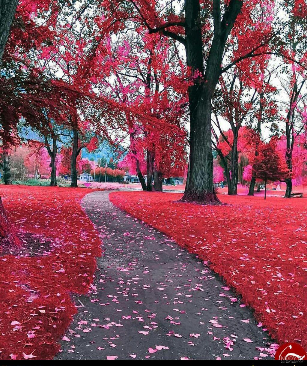 عکس سه بعدی متحرک عکس سه بعدی متحرک