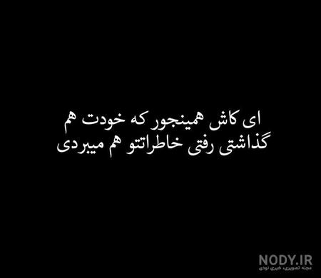 عکس سیاه سفید شاخ عکس سیاه سفید شاخ