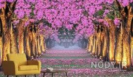 عکس طبیعت سه بعدی با کیفیت بالا عکس طبیعت سه بعدی با کیفیت بالا