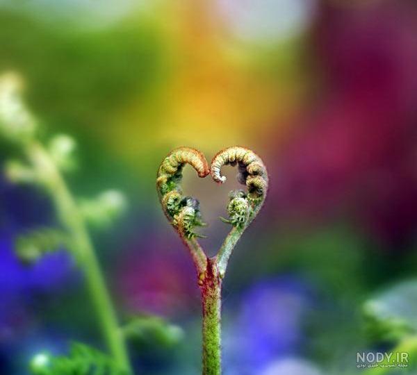 عکس نوشته زیبا عکس نوشته زیبا
