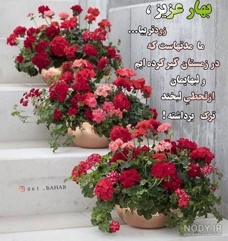 عکس های اینستاگرامی بهار عکس های اینستاگرامی بهار