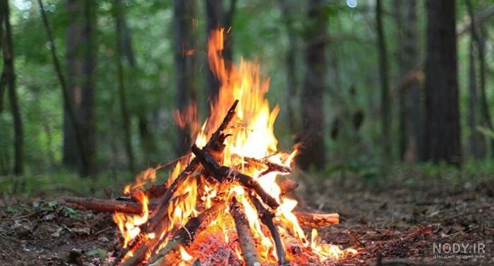 متن کوتاه در مورد آتش سوزی جنگل