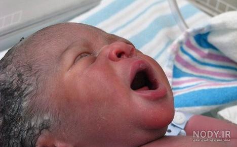 نوزادان تازه متولد شده زیبا