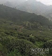 چرا شیطان کوه می گویند