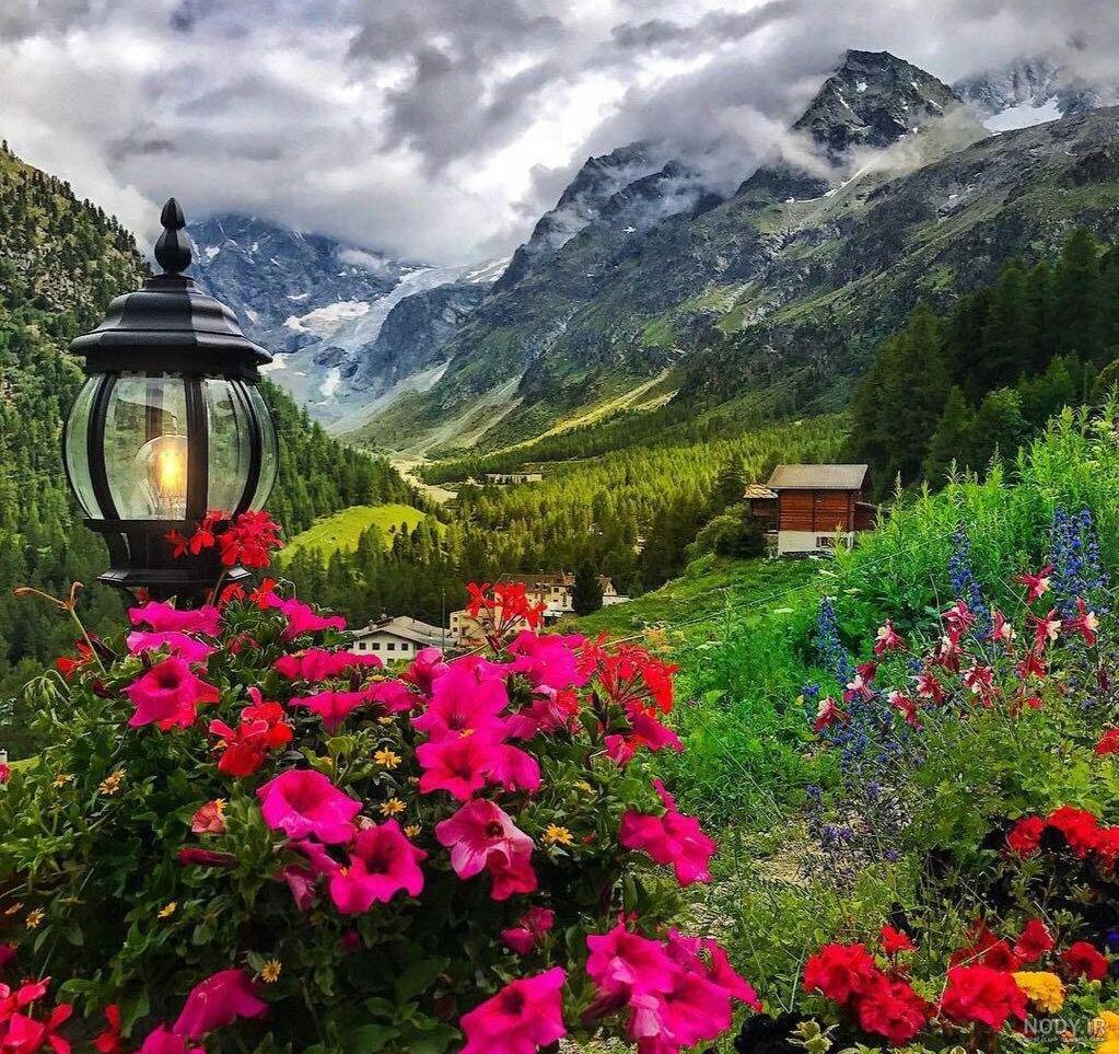 یه صبح بخیر بهاری