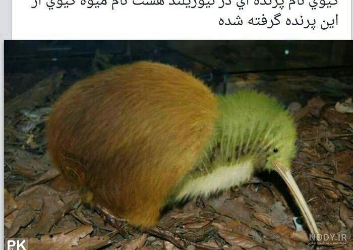 عکس باحال براى پروفايل عکس باحال براى پروفايل