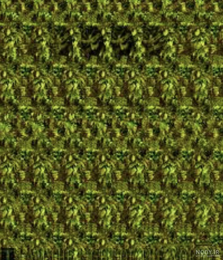  تصاویر سه بعدی برجسته