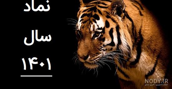 رنگ سال 2022 چه رنگی است رنگ سال 2022 چه رنگی است