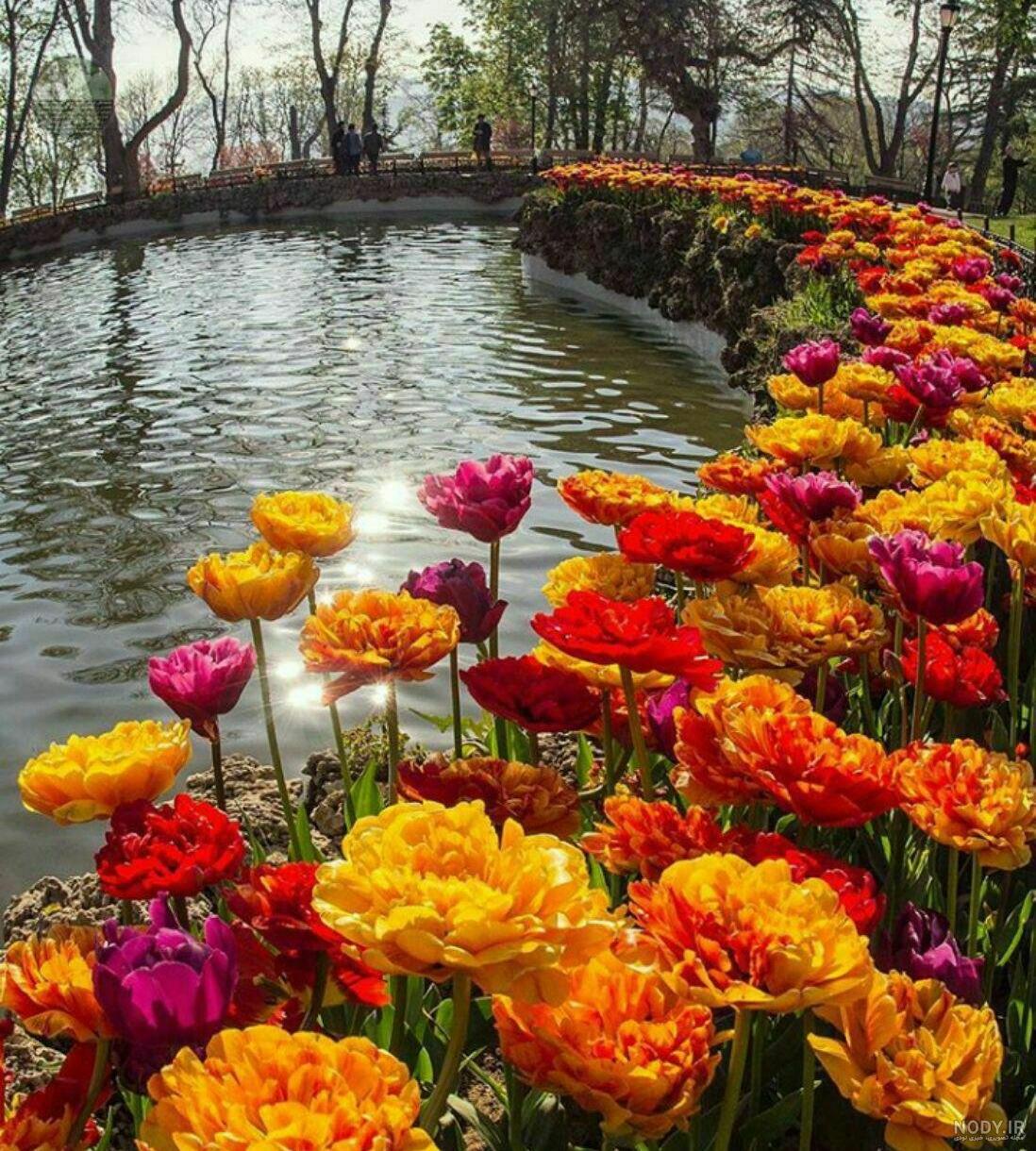 شعر آدینه عاشقانه شعر آدینه عاشقانه