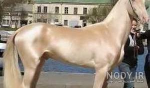 عکس اسب یک میلیاردی