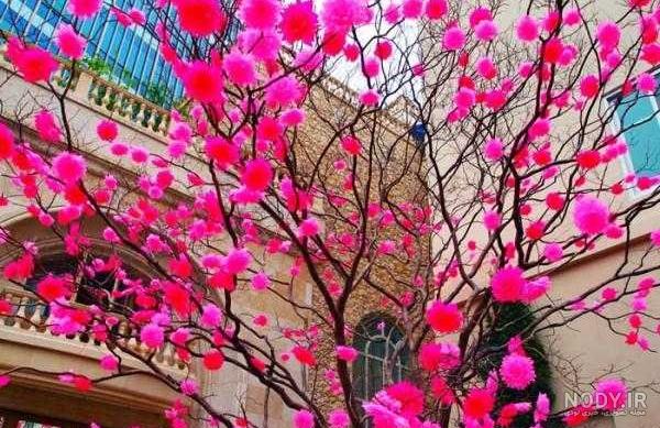 عکس بهار سبزه عکس بهار سبزه