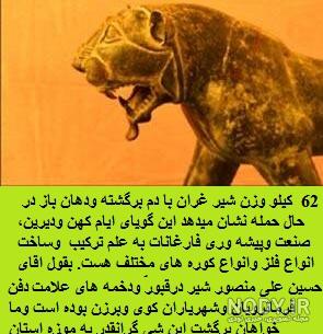 عکس شیر برای تصویر زمینه عکس شیر برای تصویر زمینه