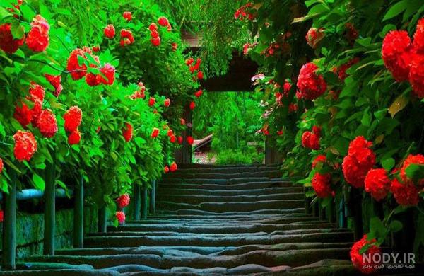 عکس طبیعت رویایی با کیفیت بالا