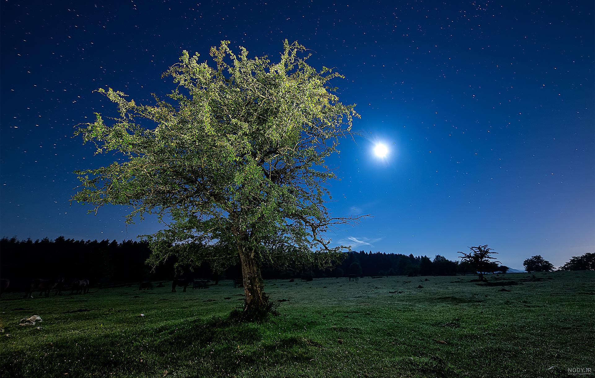 عکس ماه و ستاره فانتزی
