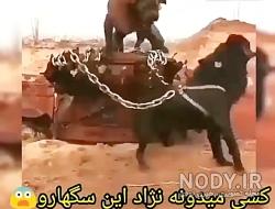 فیلم جن واقعی خیلی ترسناک
