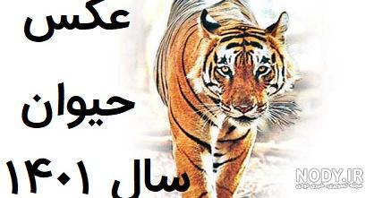 لحظه تحویل سال 1500 لحظه تحویل سال 1500