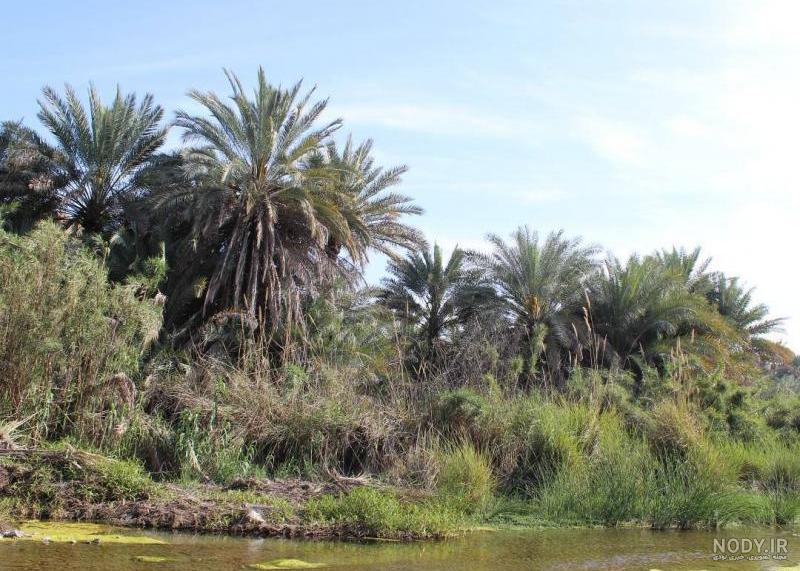 هرات کجاست