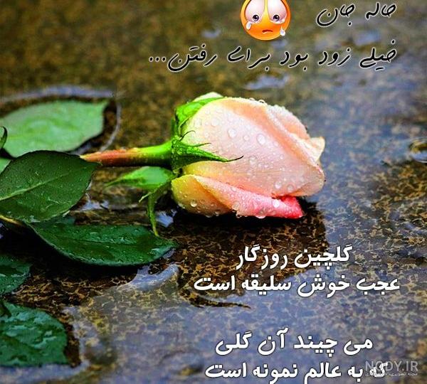 پروفایل دلتنگی همسر فوت شده پروفایل دلتنگی همسر فوت شده