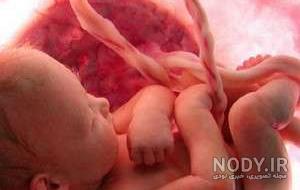 ضربان قلب خطرناک چند است