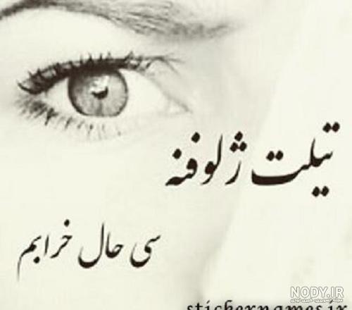 عکس لری در باب اسفنجی