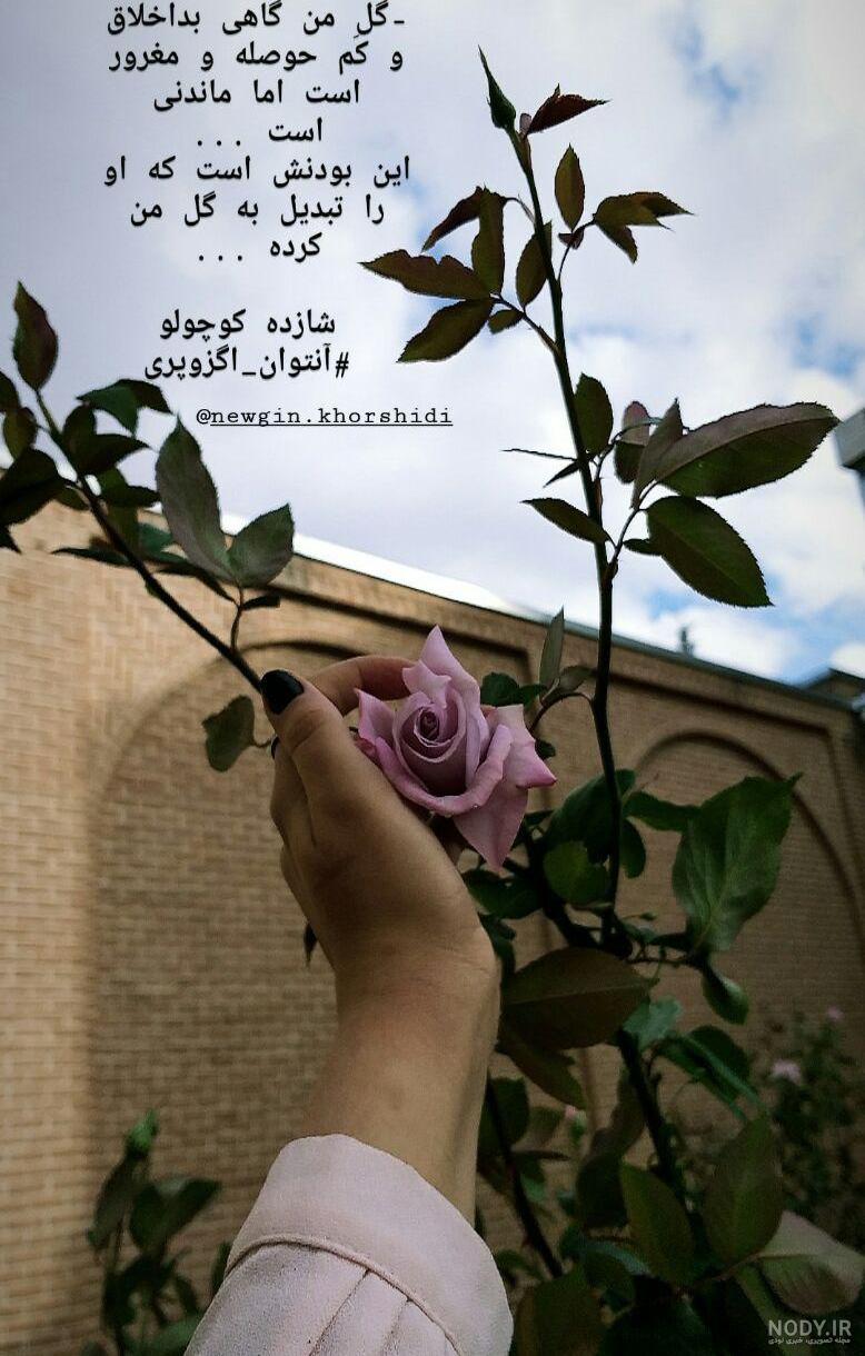 عکس زیبا پروفایل واتساپ عکس نودی