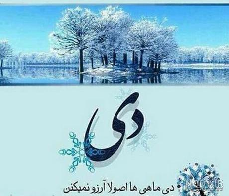 استوری تبریک تولد دی ماهی استوری تبریک تولد دی ماهی