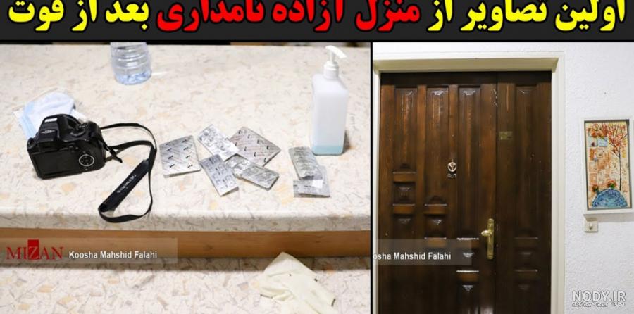 تسلیت فرزاد حسنی به مرگ آزاده نامداری